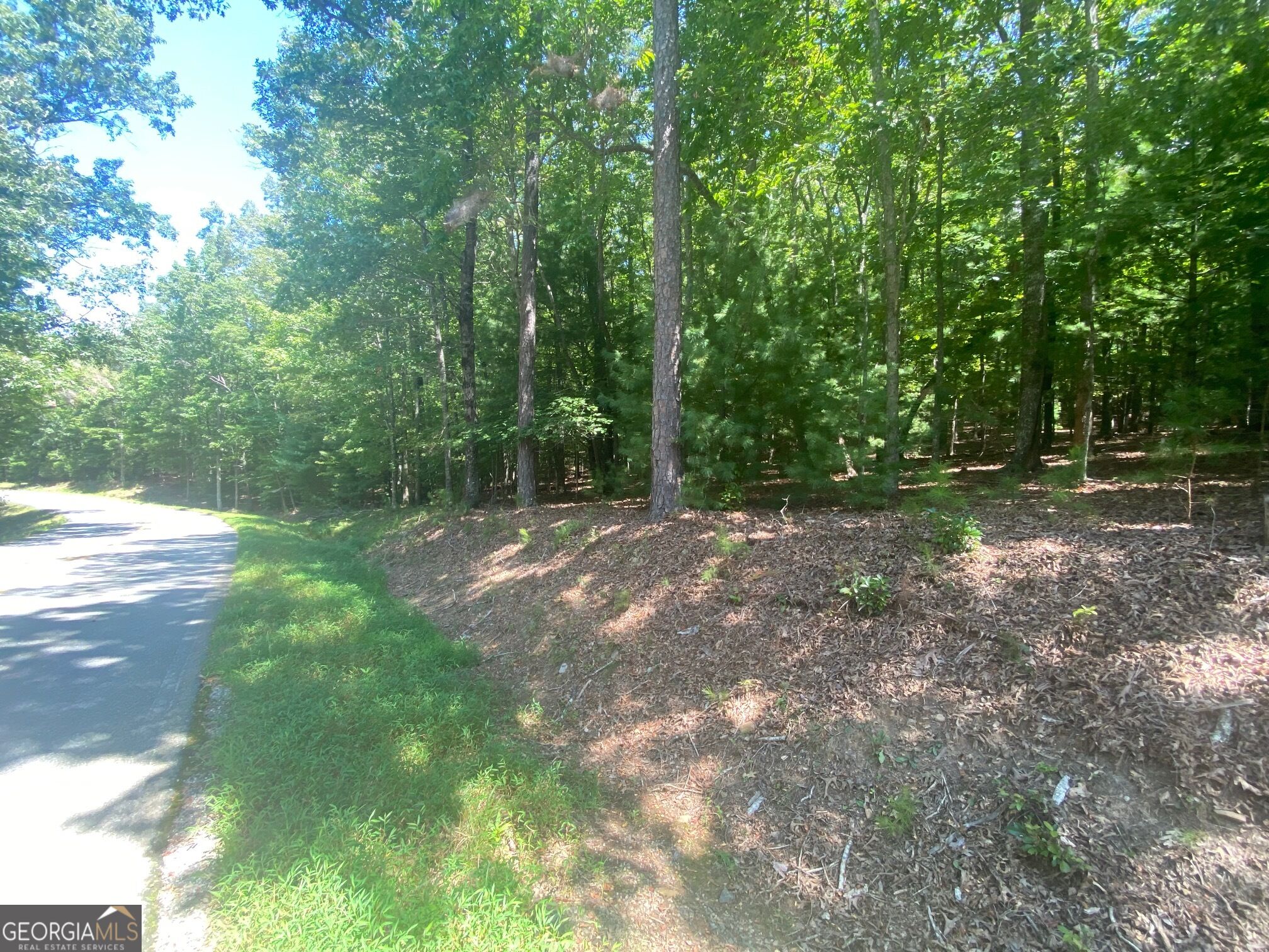 6.93 Ac Timber Ridge Road Property Photo 5