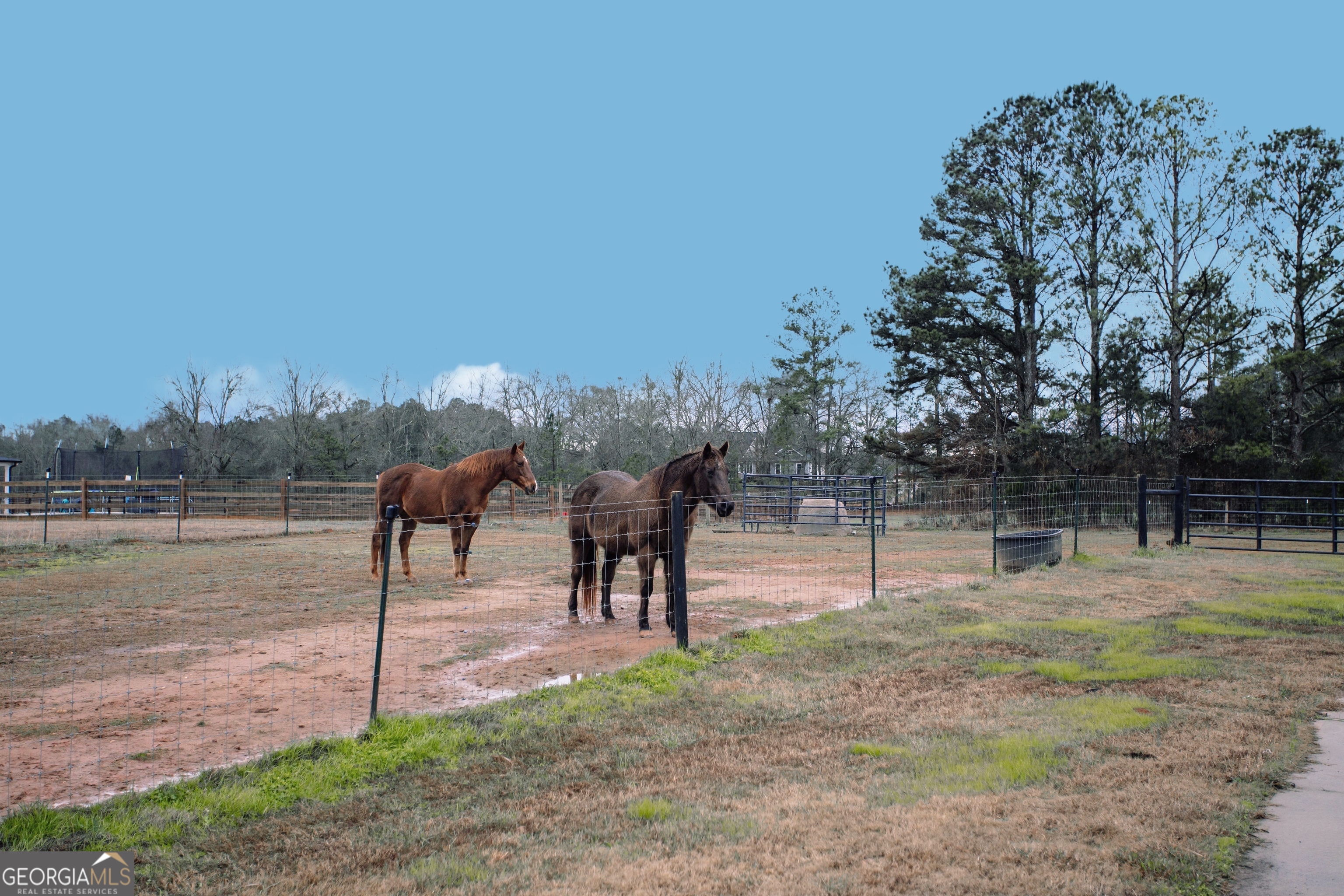 3221 Hollonville Road Property Photo 43