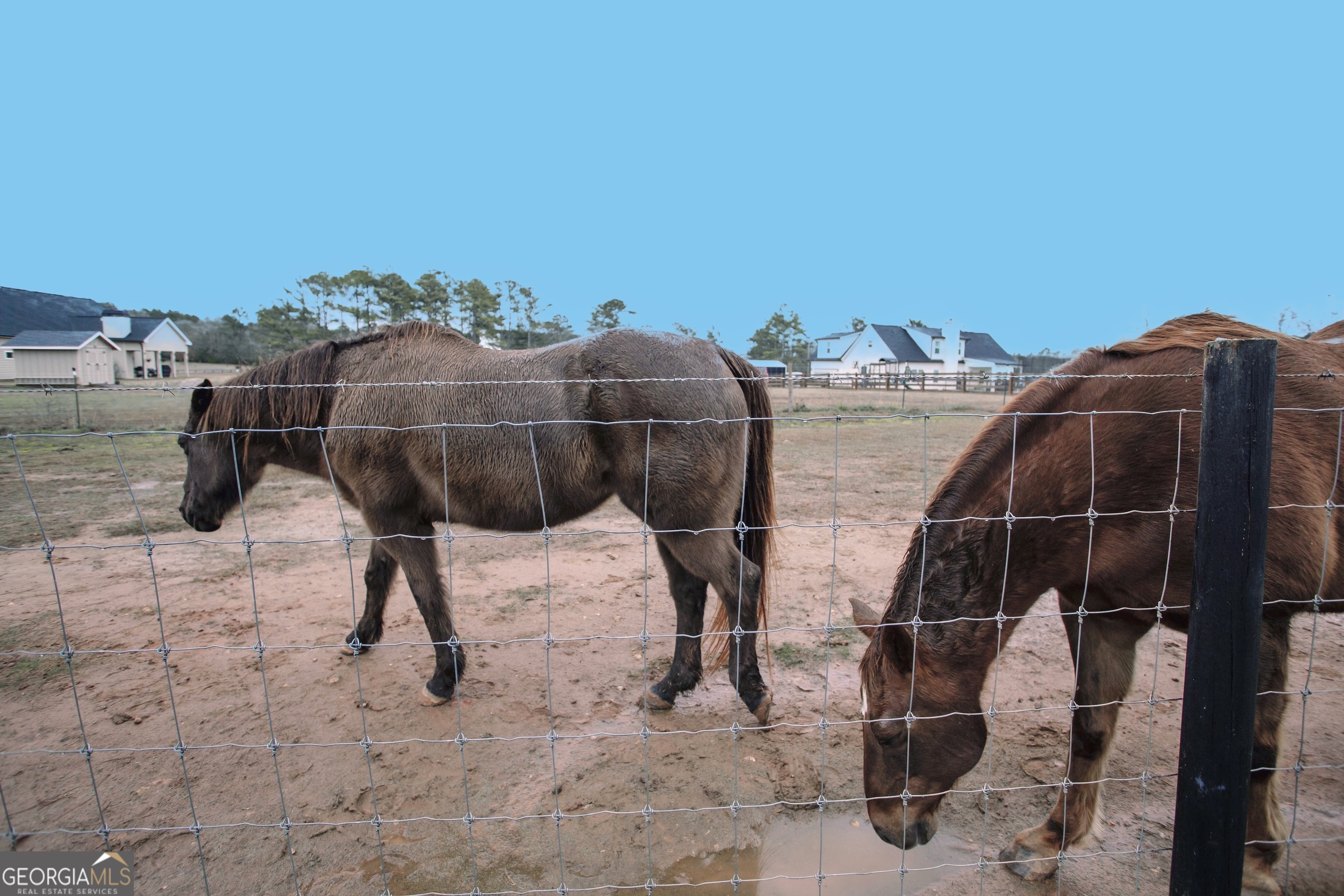 3221 Hollonville Road Property Photo 44