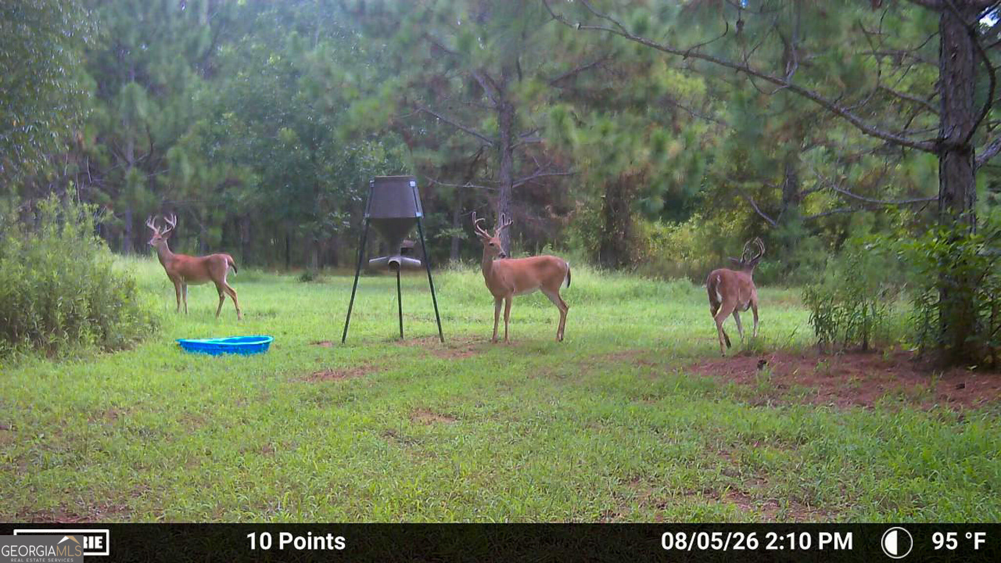 4570 Spanns Mill Road Property Photo 25