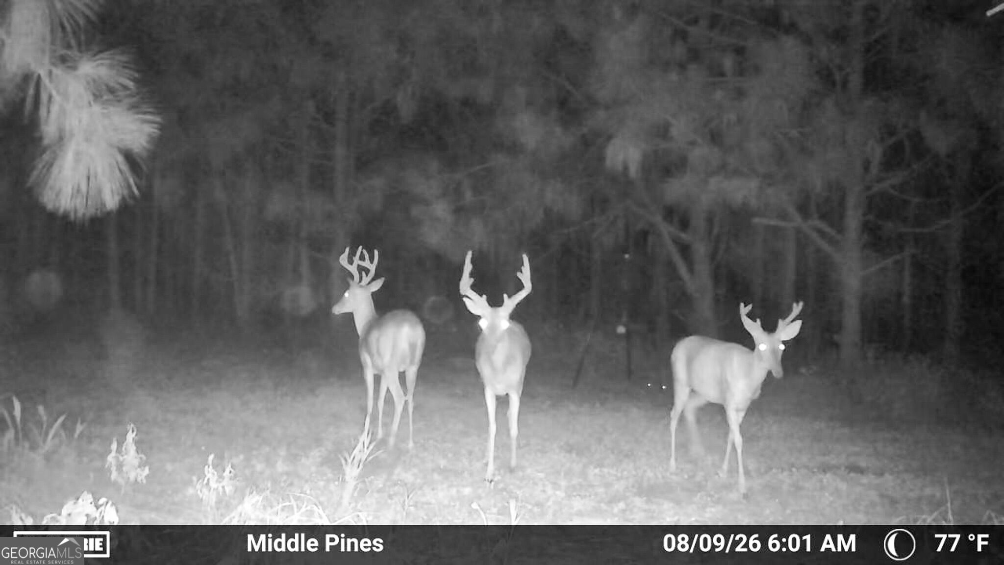 4570 Spanns Mill Road Property Photo 26