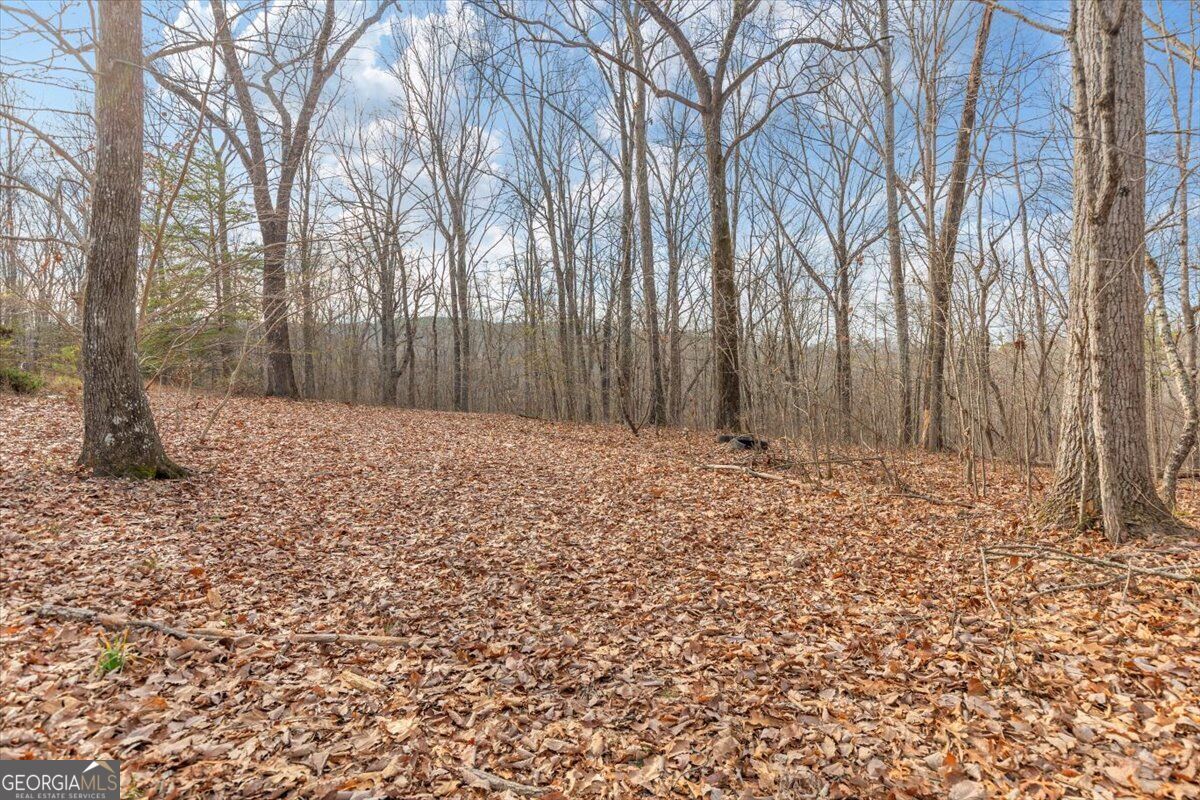13 Acres Percheron Drive Property Photo 1