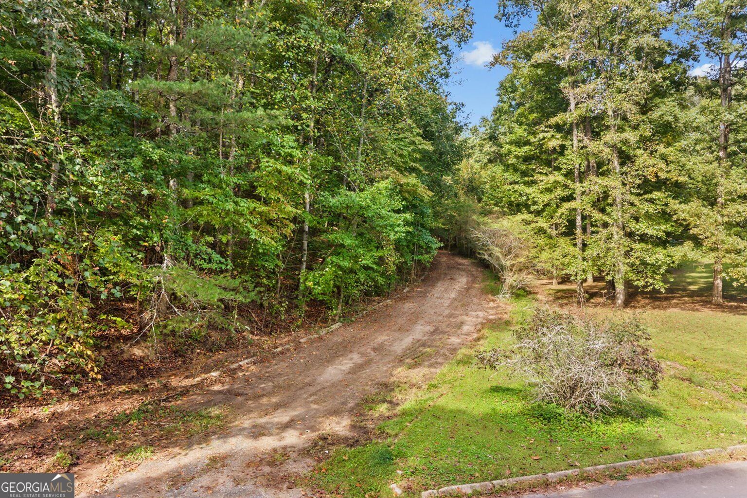 13 Acres Percheron Drive Property Photo 3
