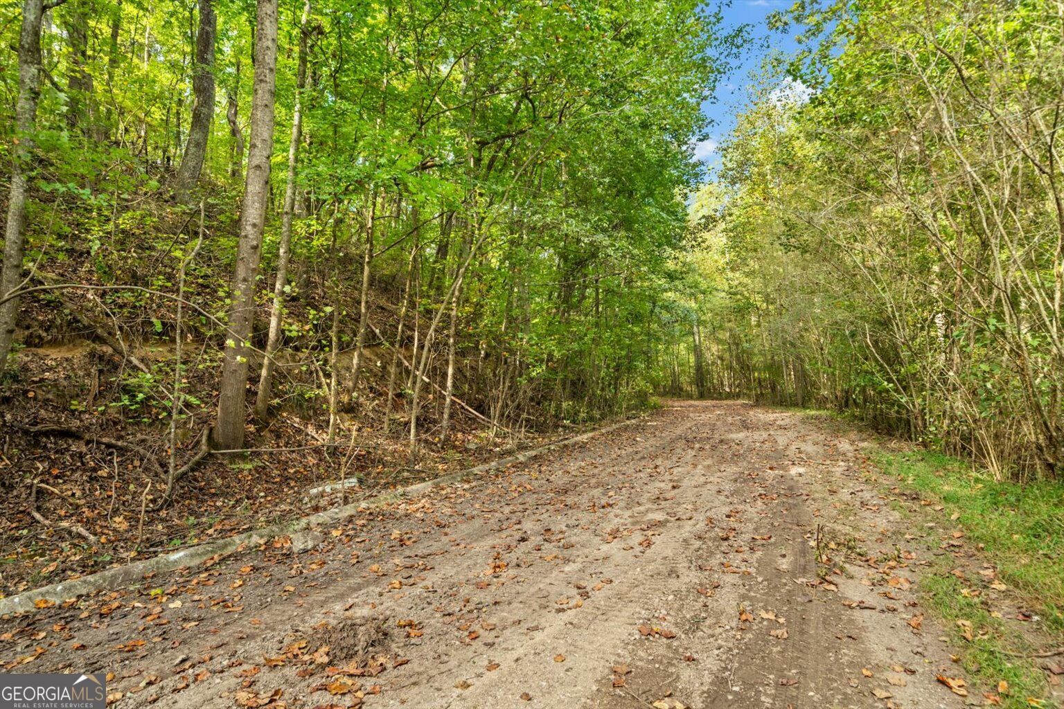 13 Acres Percheron Drive Property Photo 4