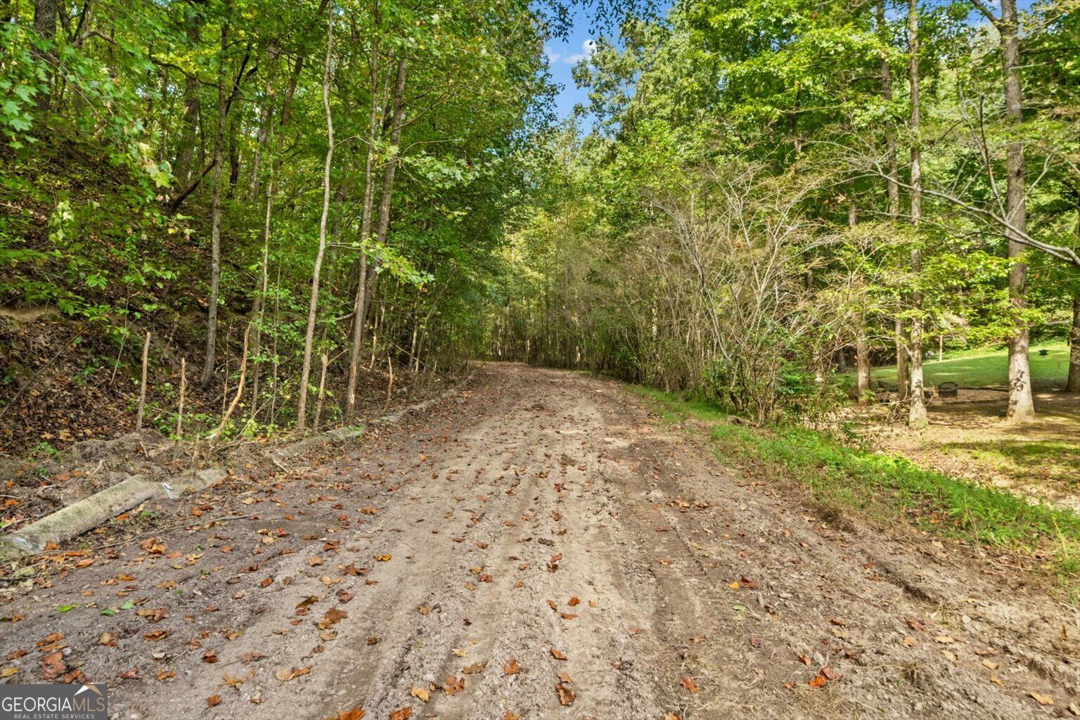 13 Acres Percheron Drive Property Photo 5