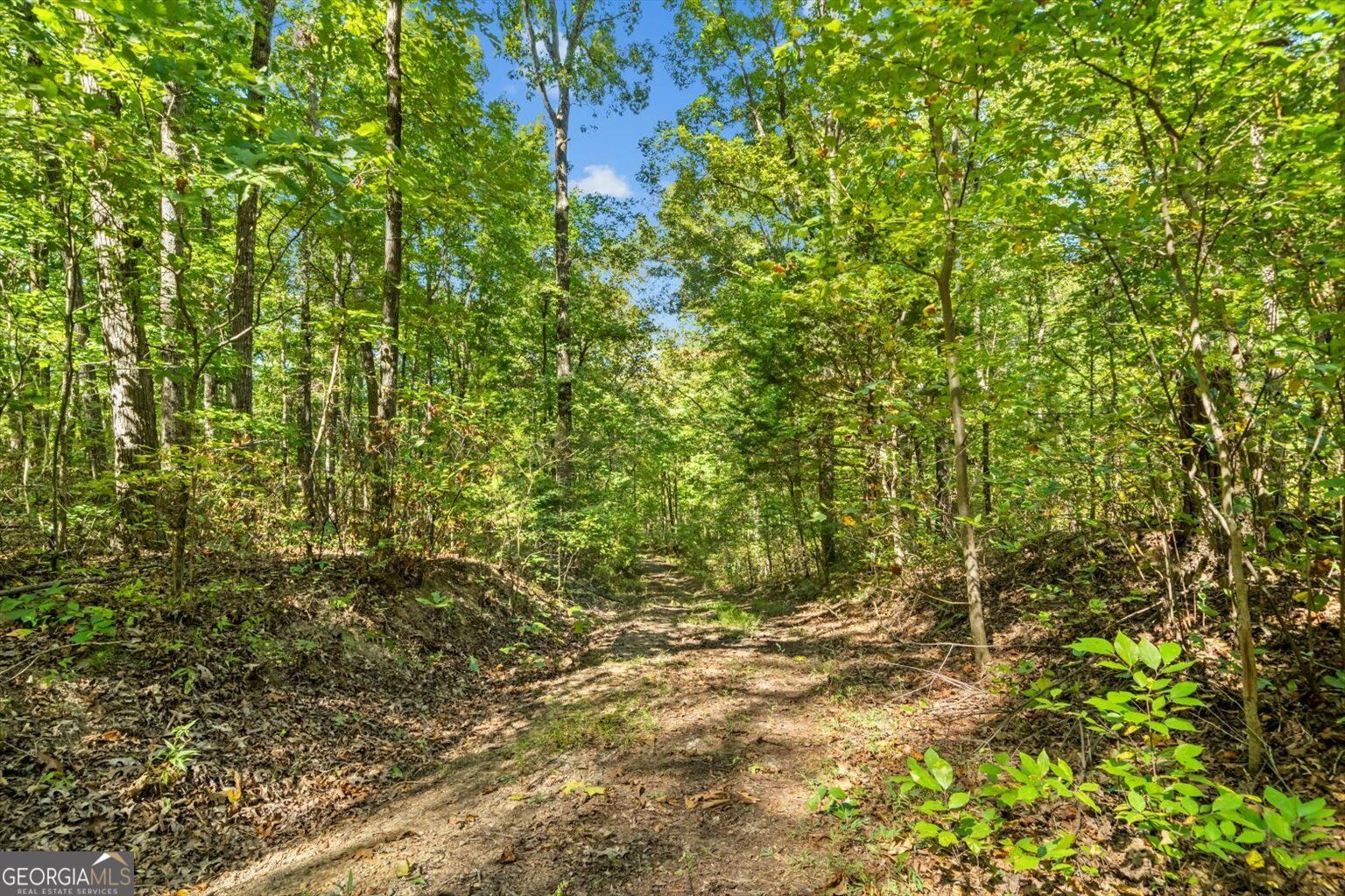 13 Acres Percheron Drive Property Photo 6