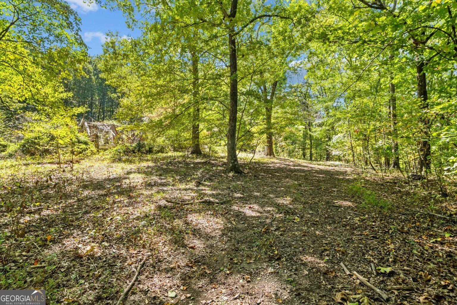 13 Acres Percheron Drive Property Photo 7