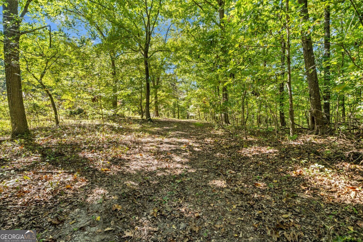 13 Acres Percheron Drive Property Photo 8