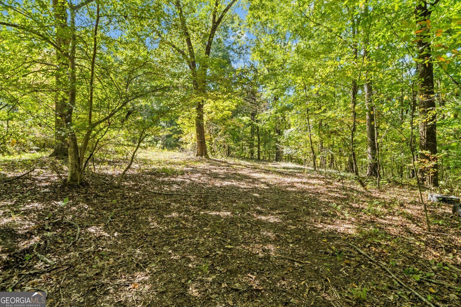 13 Acres Percheron Drive Property Photo 9