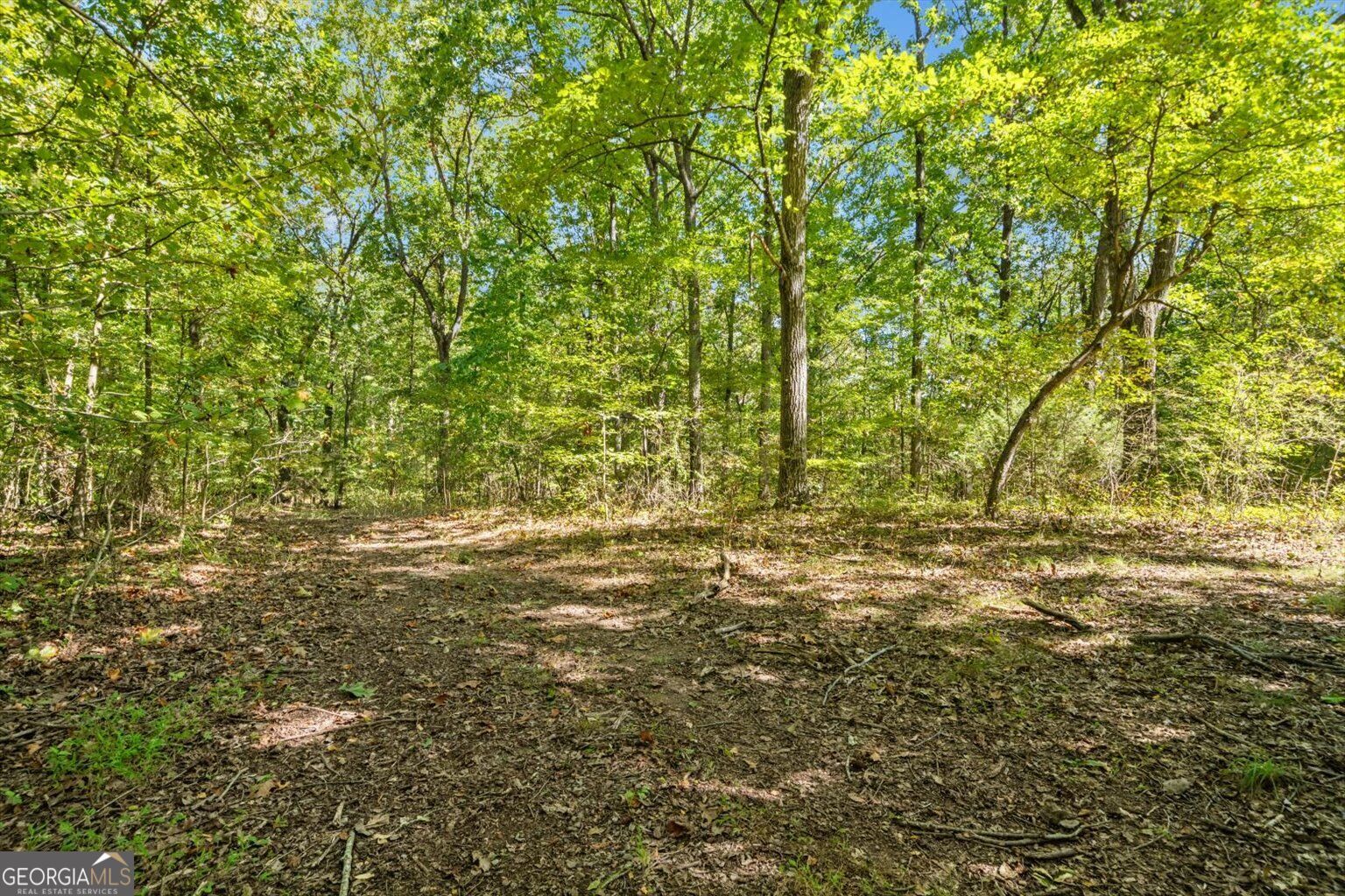 13 Acres Percheron Drive Property Photo 10