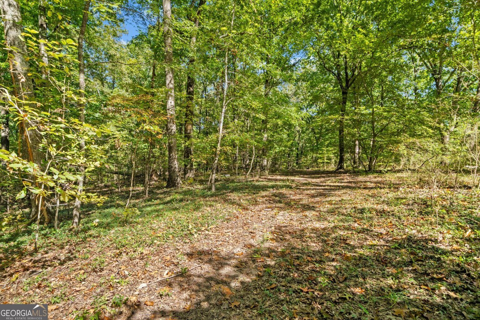 13 Acres Percheron Drive Property Photo 11