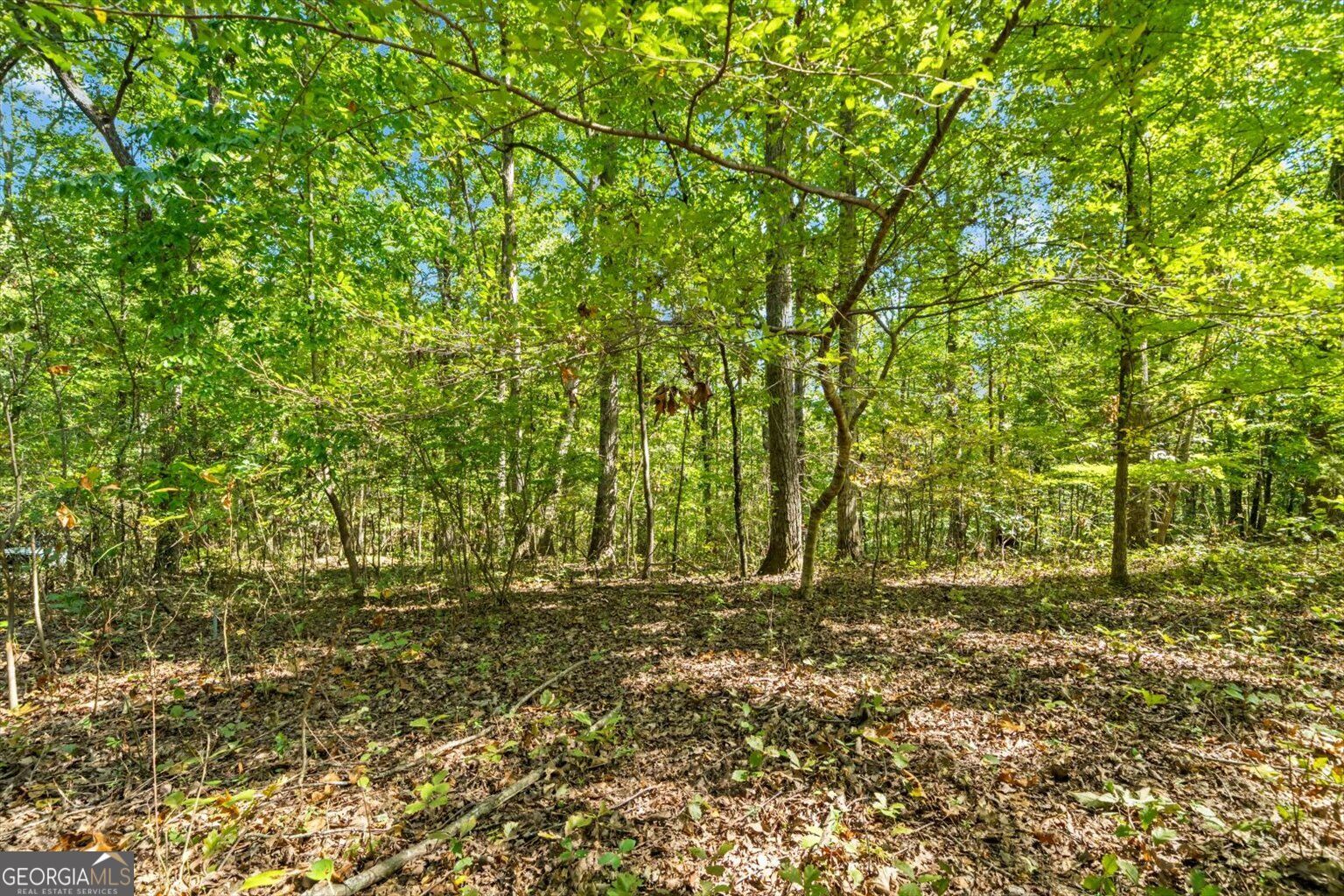 13 Acres Percheron Drive Property Photo 12