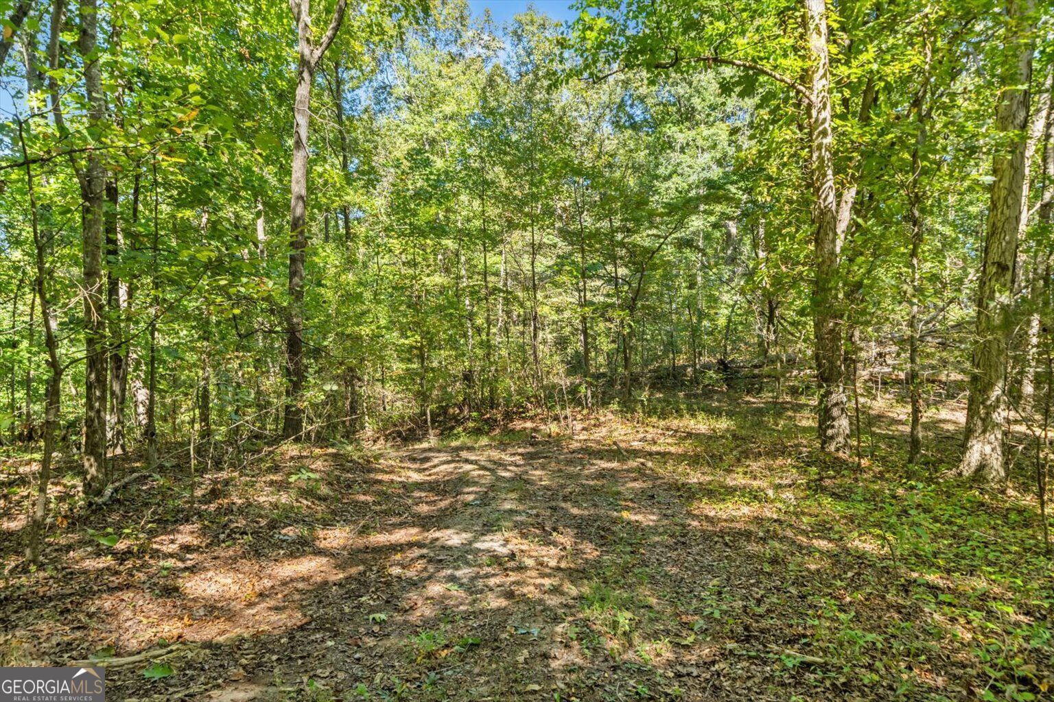 13 Acres Percheron Drive Property Photo 13