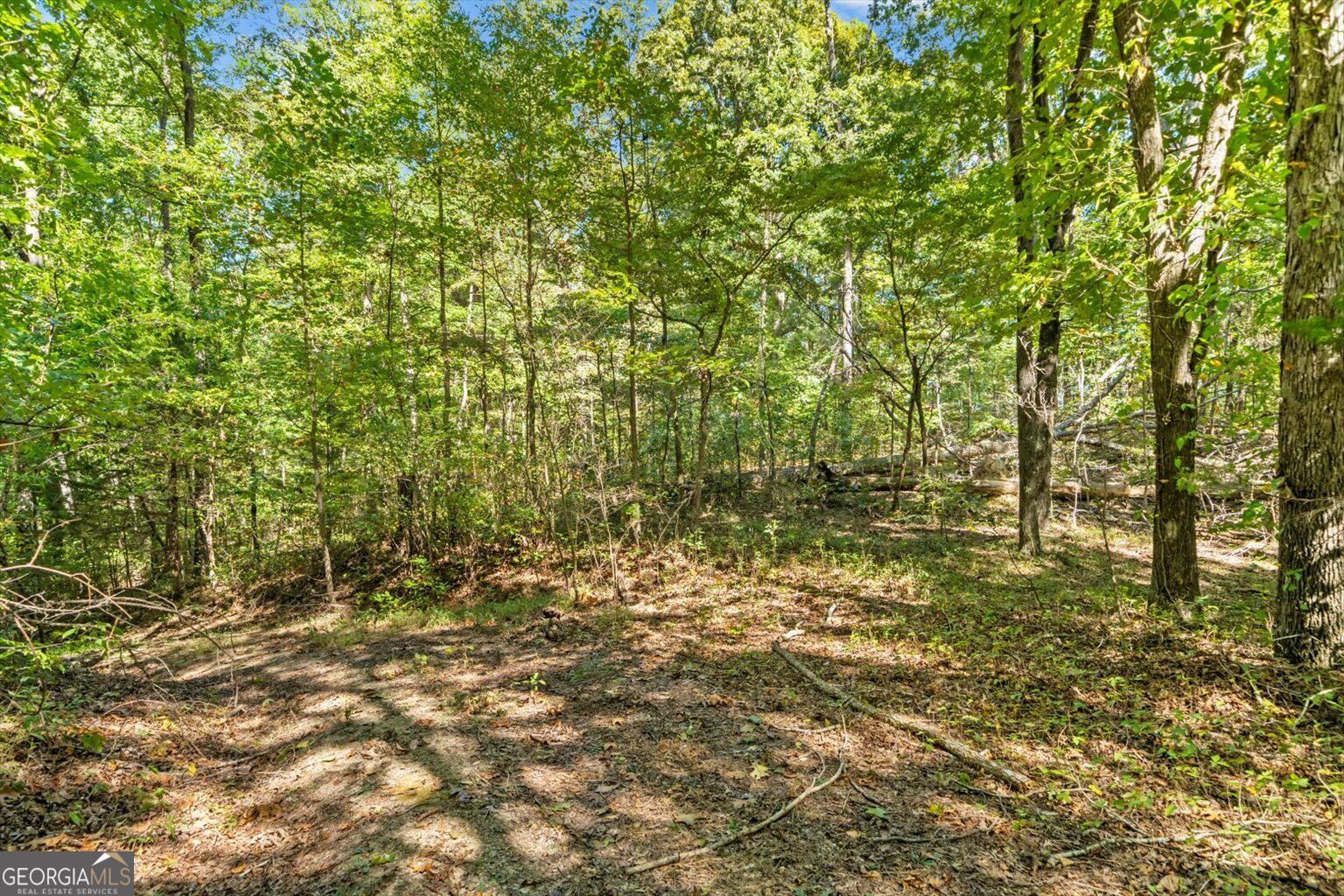 13 Acres Percheron Drive Property Photo 14