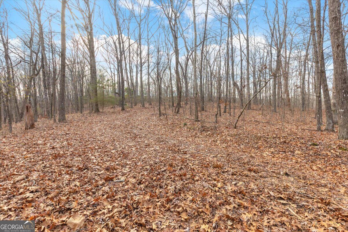 13 Acres Percheron Drive Property Photo 15