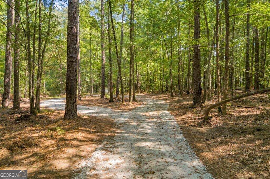 337 Bear Creek Trail Property Photo 29