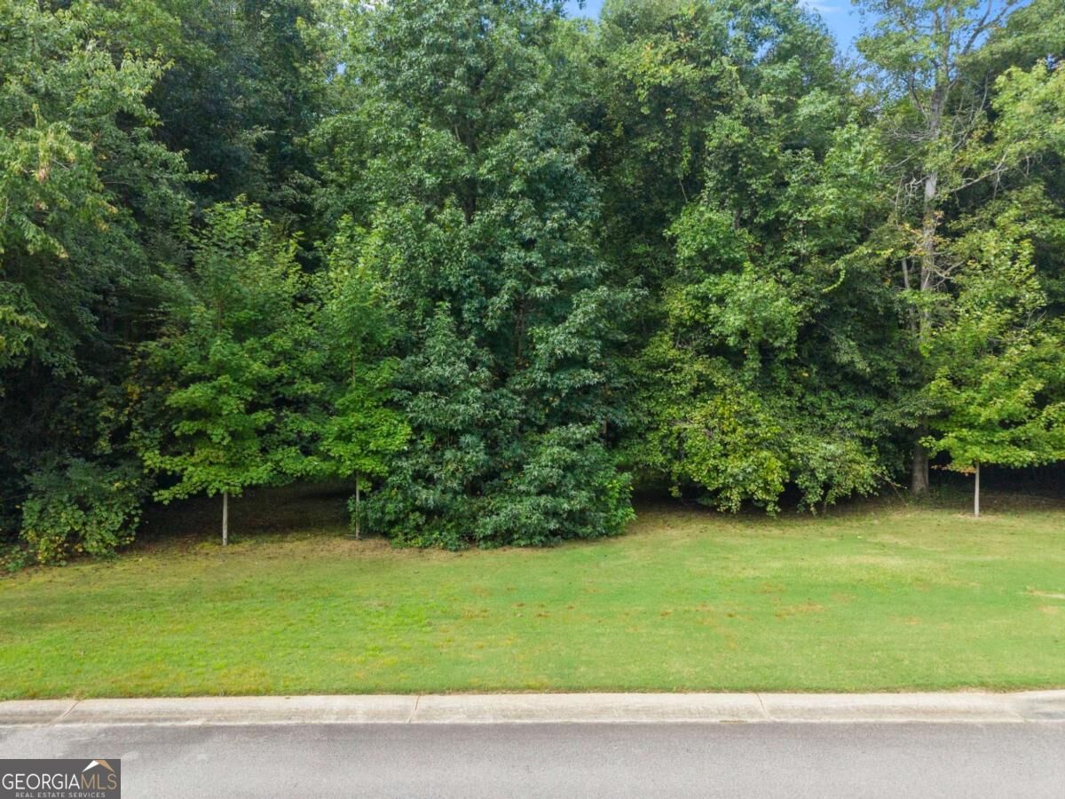 5720 Winding Rose Trail Property Photo 4
