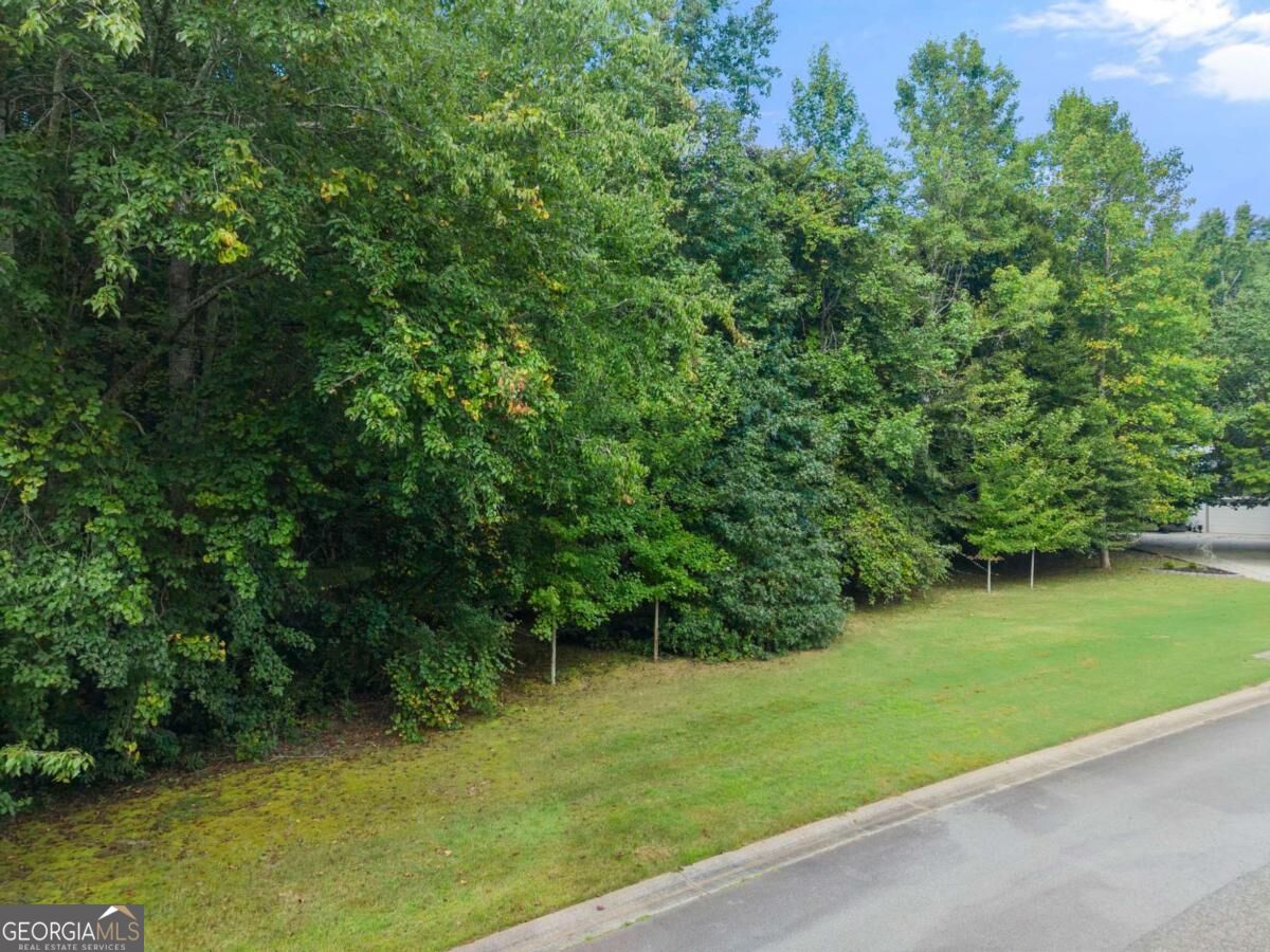 5720 Winding Rose Trail Property Photo 6