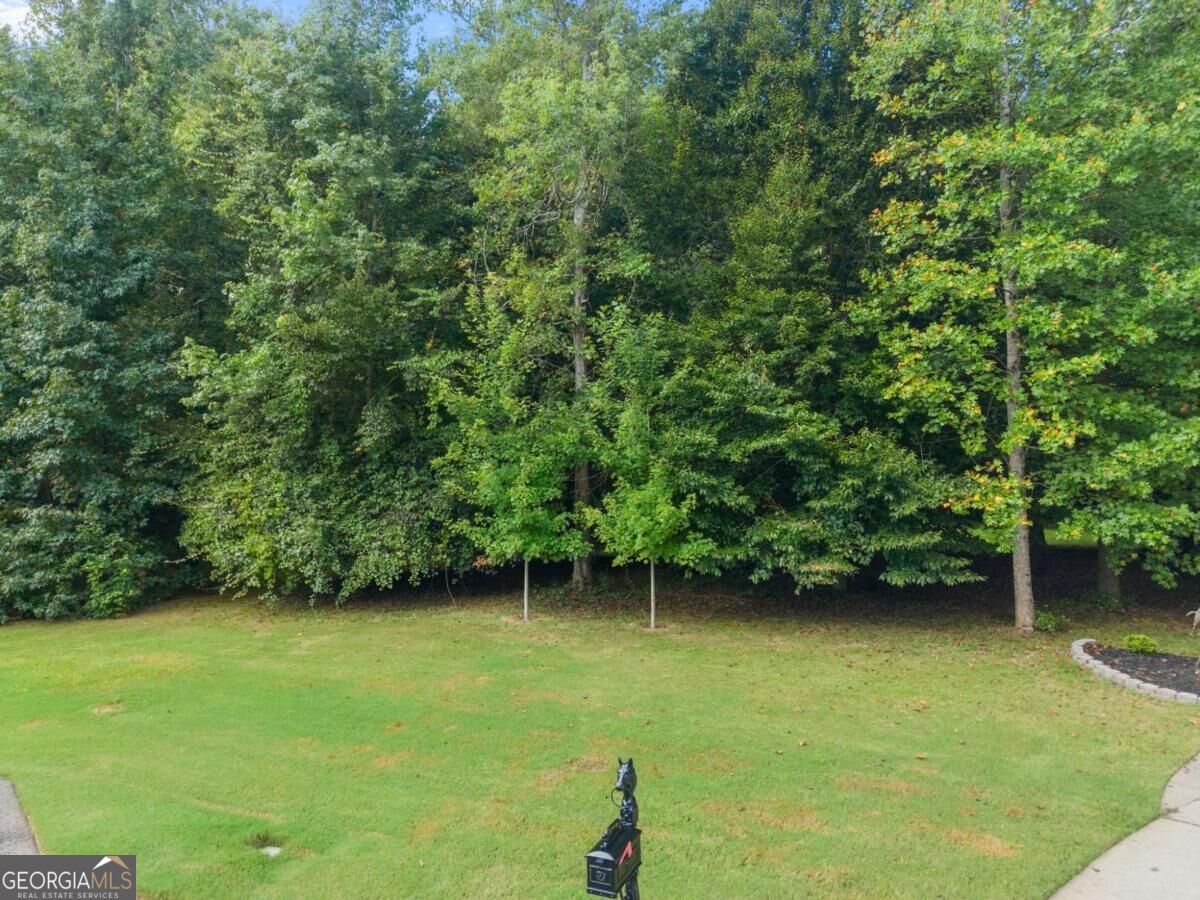 5720 Winding Rose Trail Property Photo 7