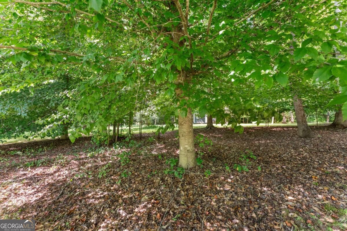 5720 Winding Rose Trail Property Photo 11