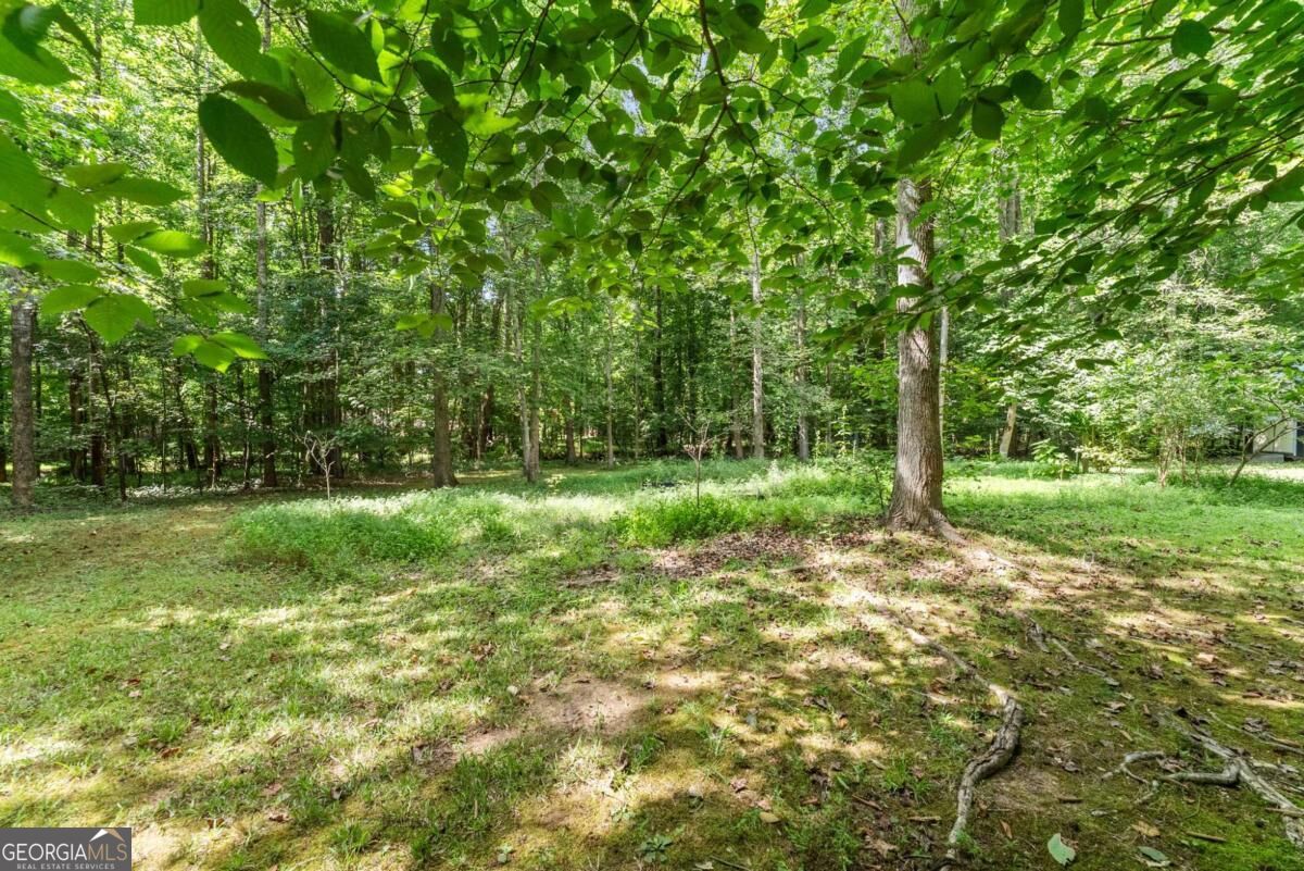 5720 Winding Rose Trail Property Photo 13
