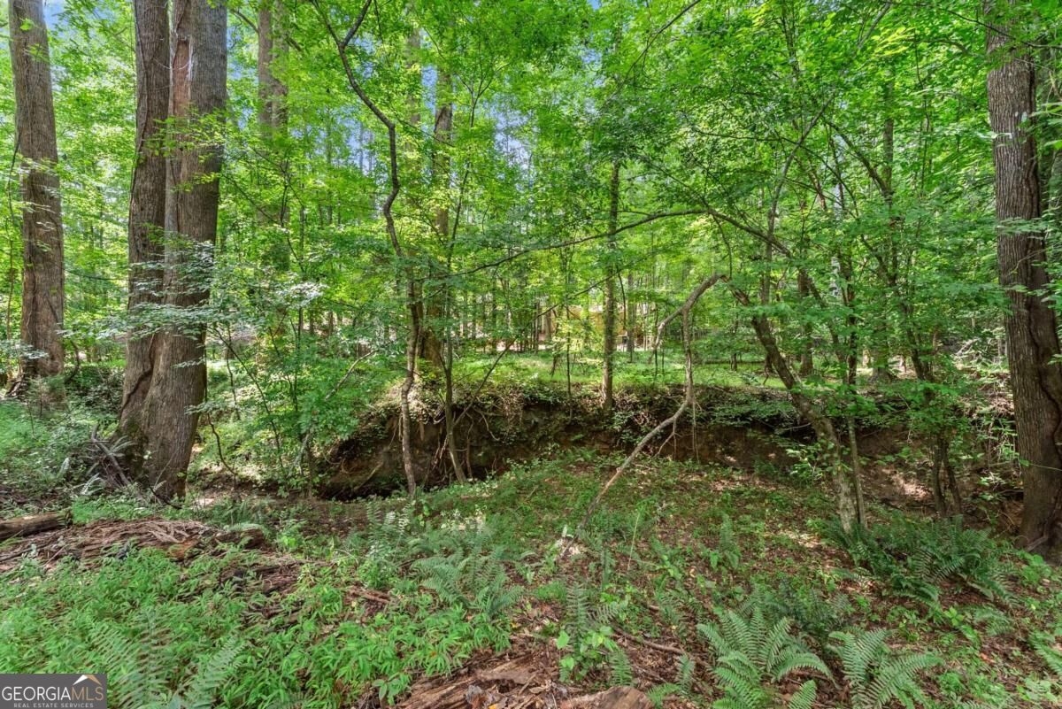 5720 Winding Rose Trail Property Photo 16