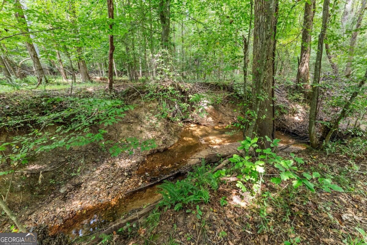 5720 Winding Rose Trail Property Photo 18