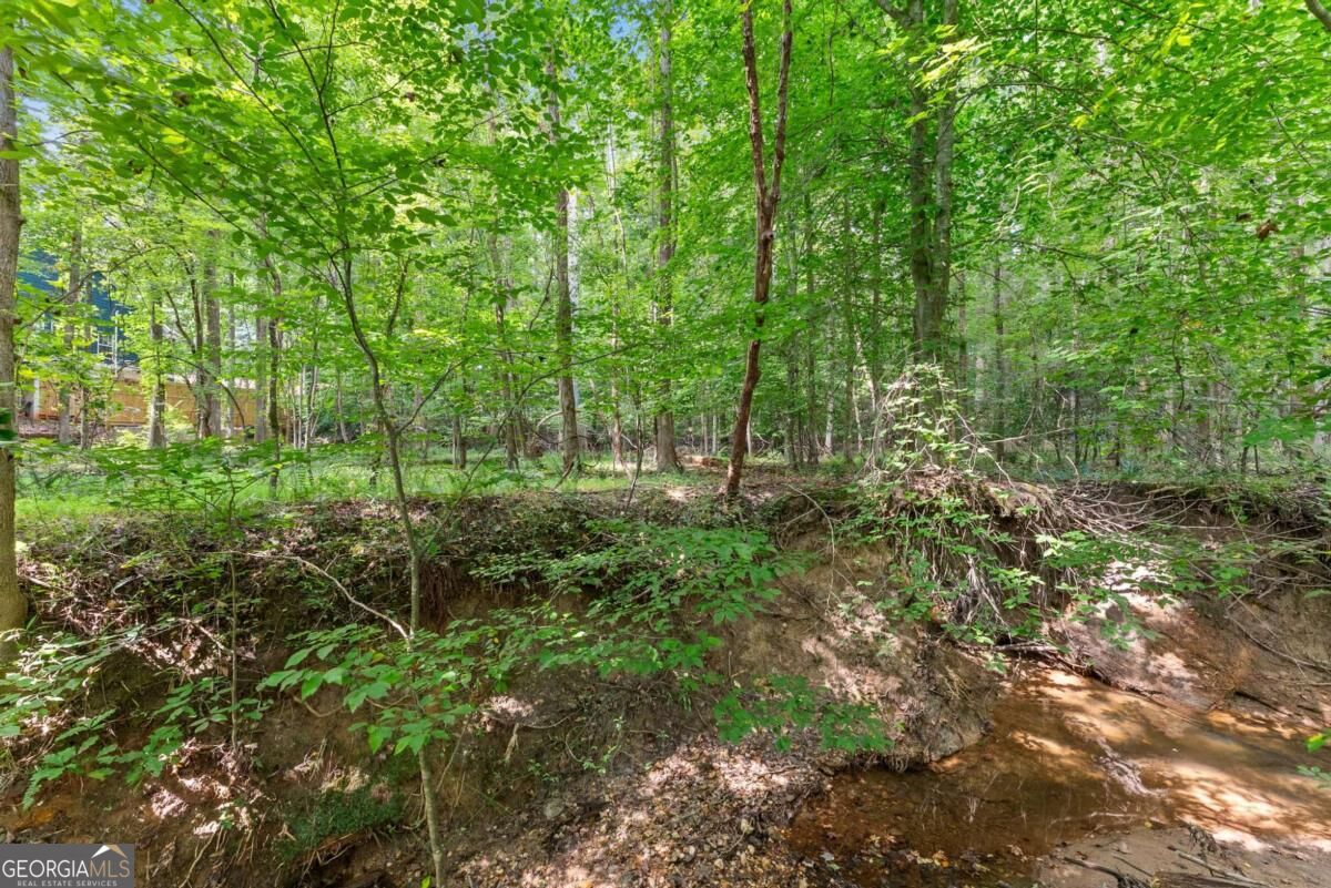 5720 Winding Rose Trail Property Photo 19