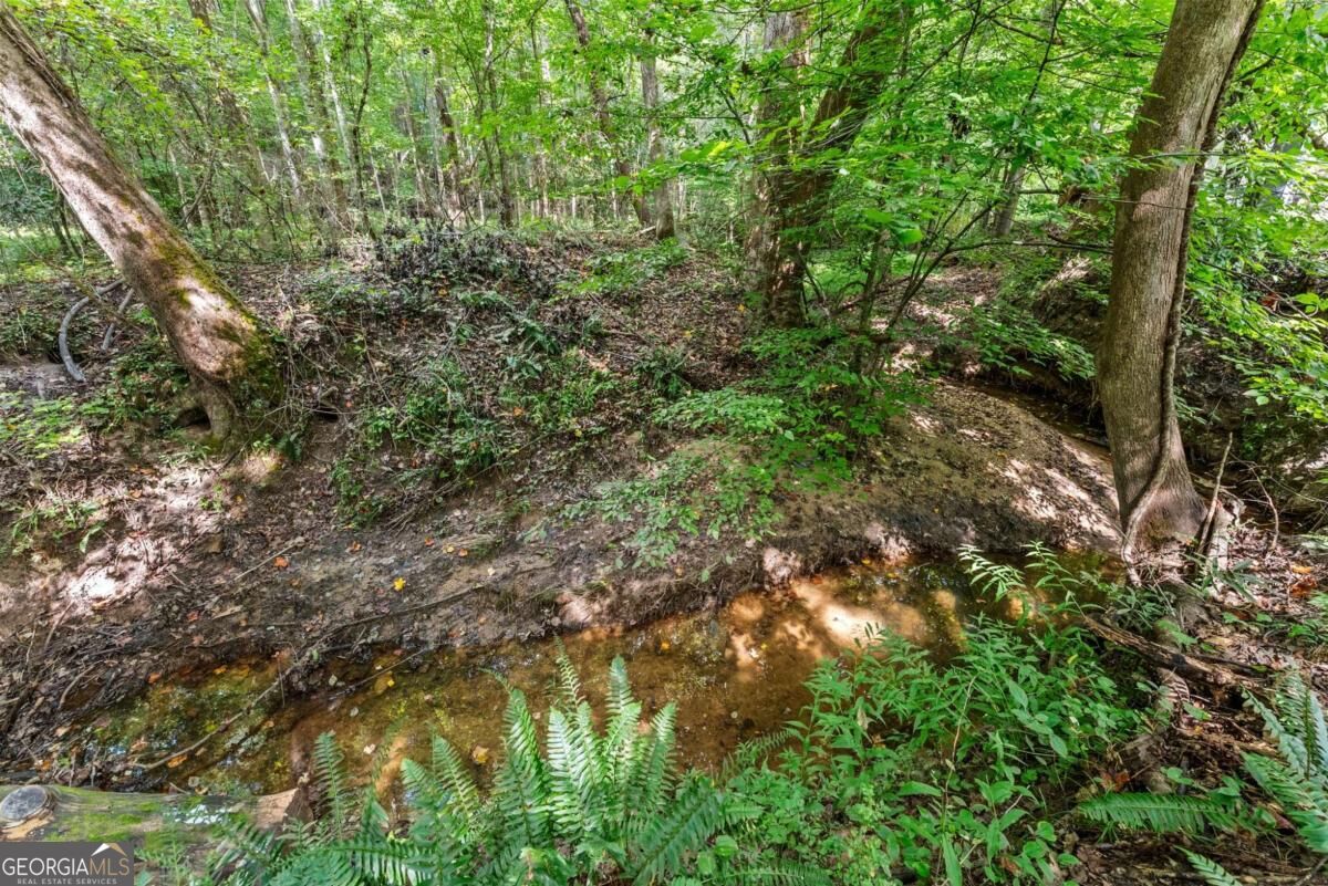5720 Winding Rose Trail Property Photo 20