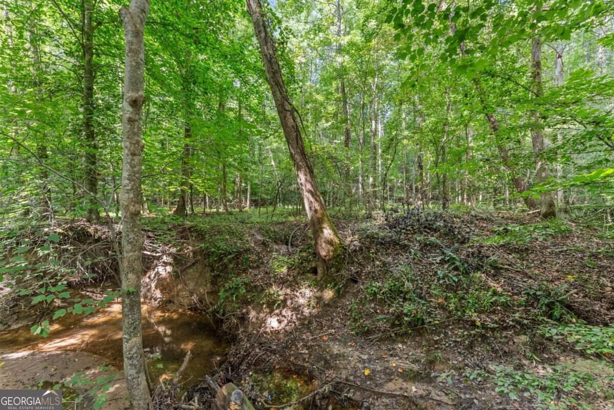 5720 Winding Rose Trail Property Photo 21