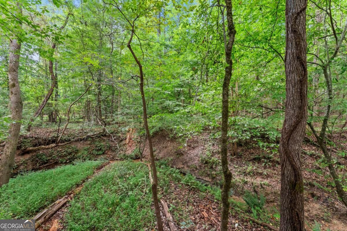 5720 Winding Rose Trail Property Photo 23