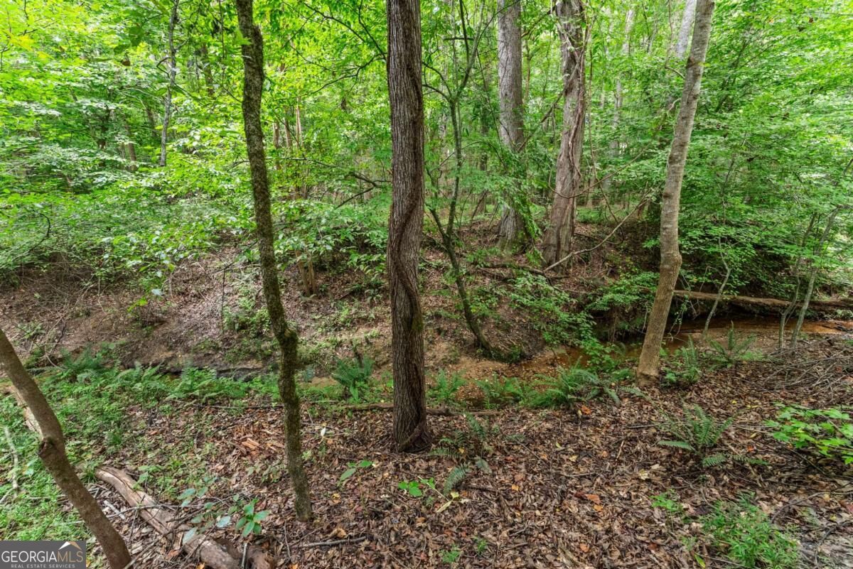 5720 Winding Rose Trail Property Photo 24