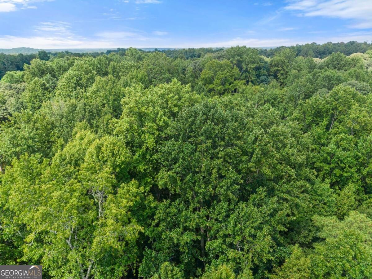 5720 Winding Rose Trail Property Photo 30
