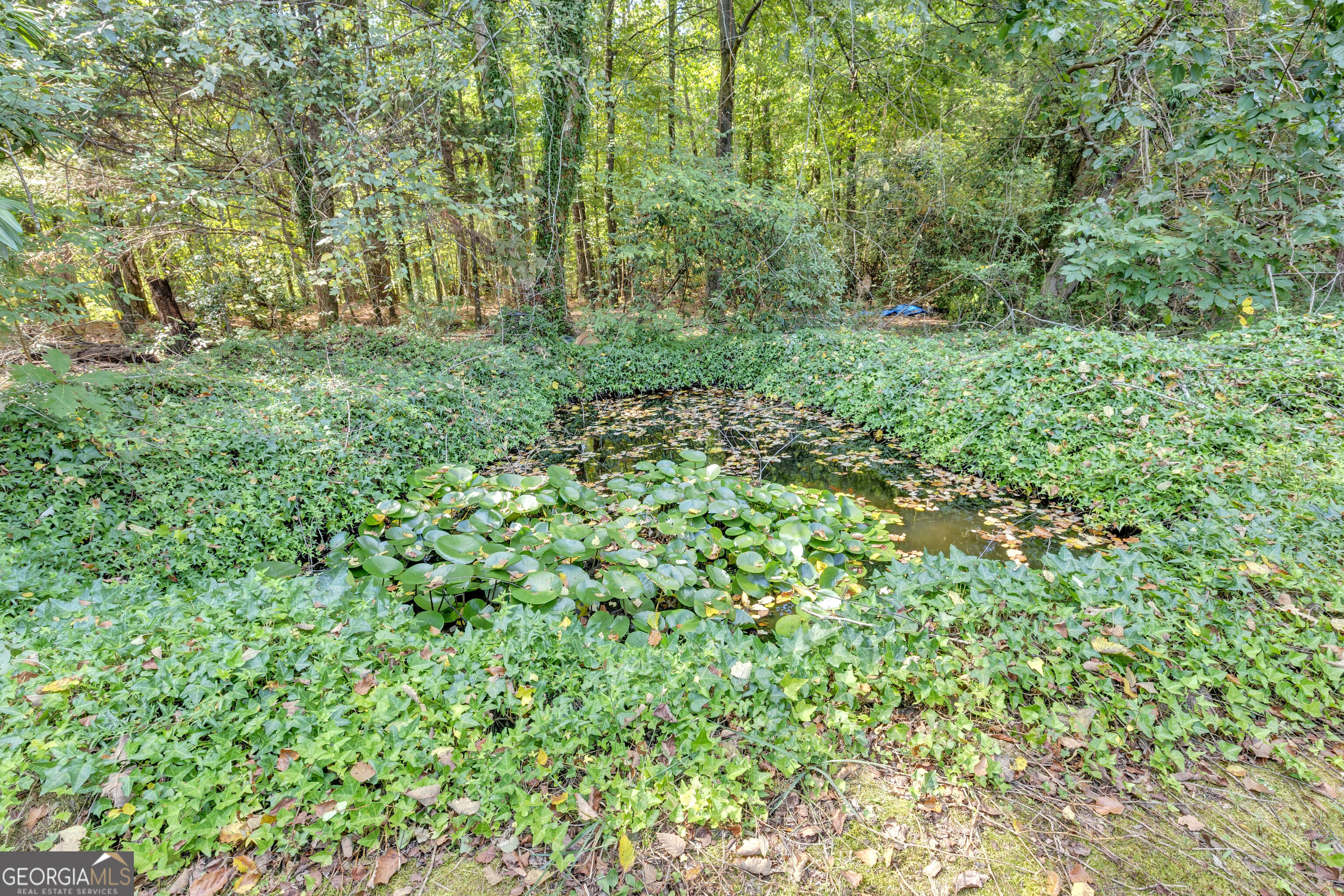 29 Bluejay Court Property Photo 48