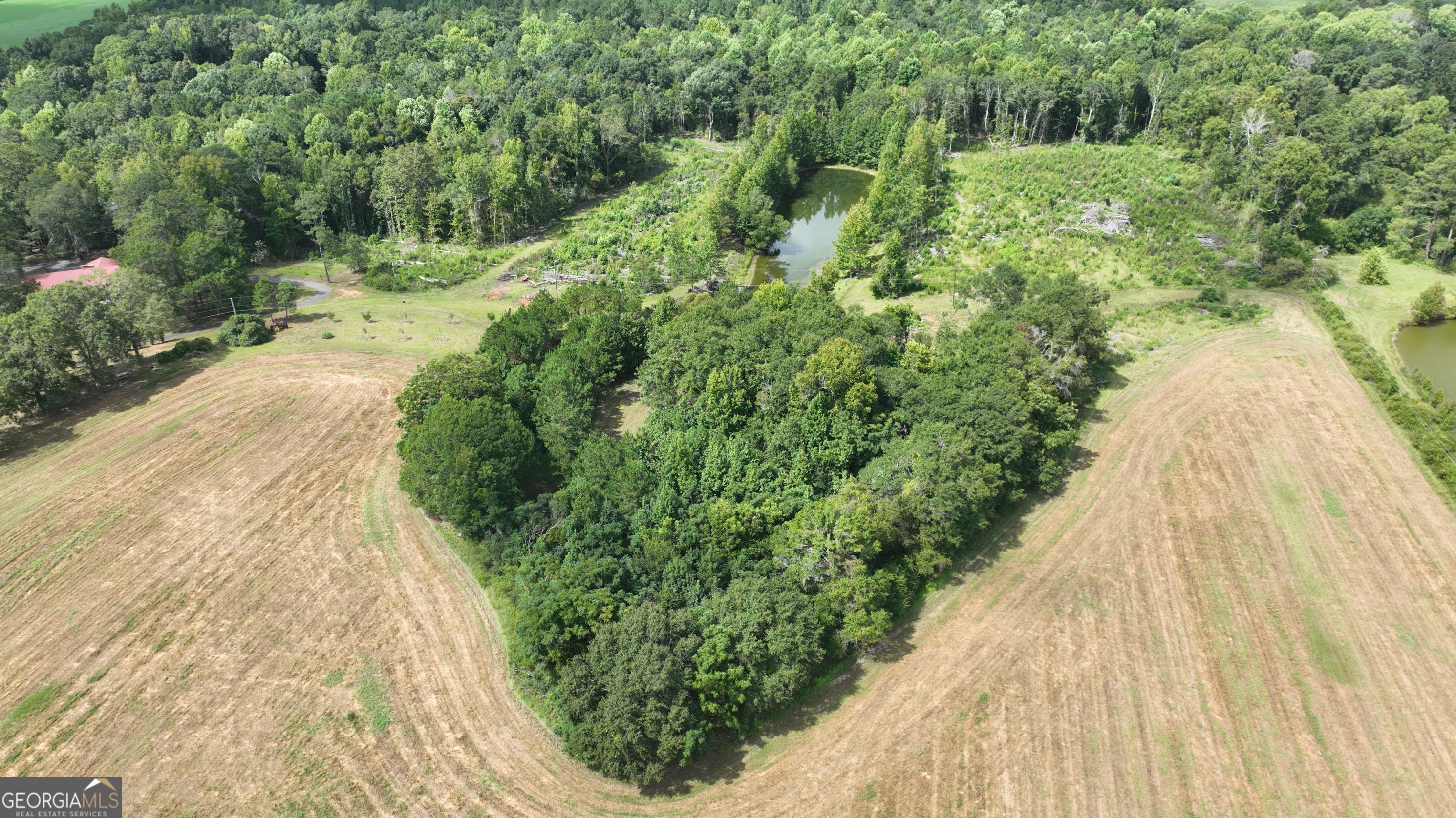 2880 Ga Highway 15 S Property Photo 1
