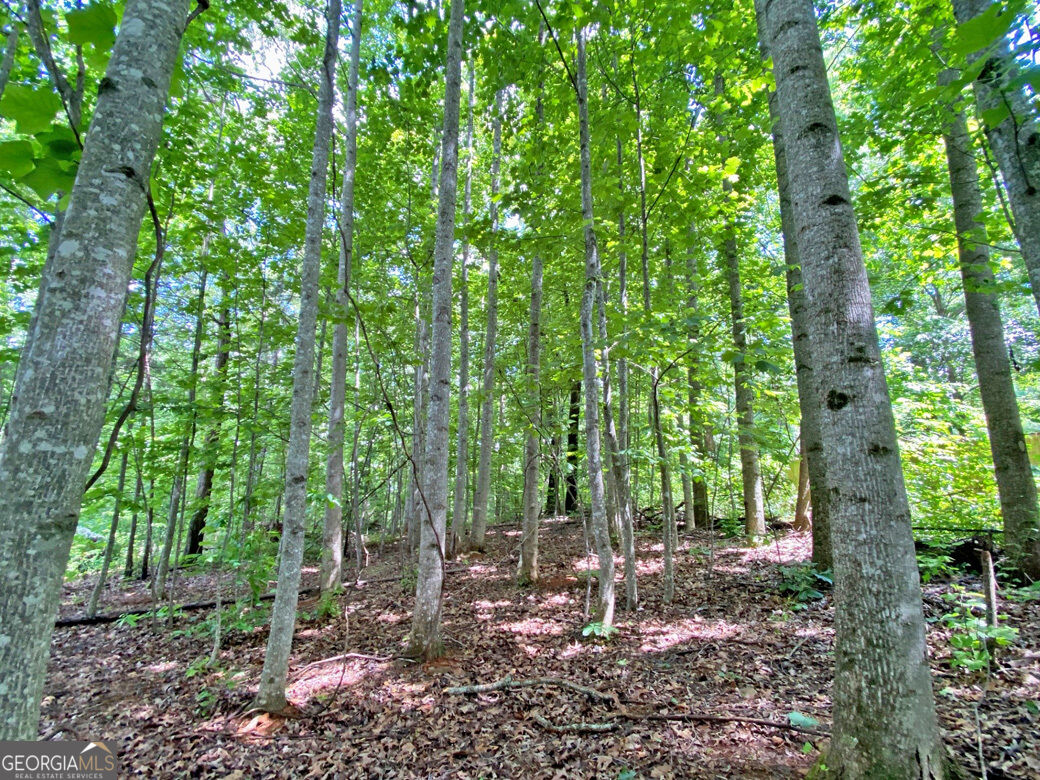 40.7AC Falling Pines Road