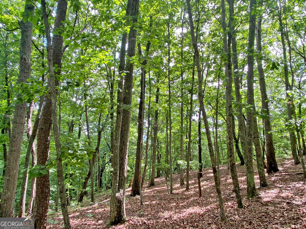 40.7ac Falling Pines Road Property Photo 7