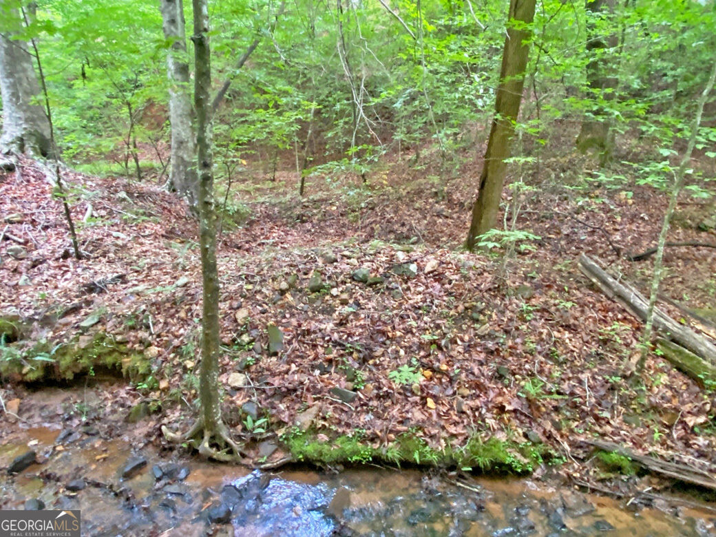 40.7ac Falling Pines Road Property Photo 9