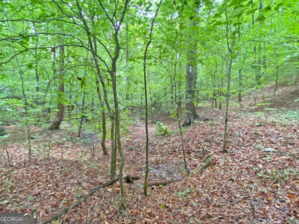 40.7ac Falling Pines Road Property Photo 10