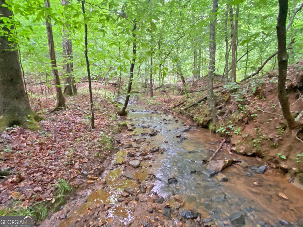 40.7ac Falling Pines Road Property Photo 11