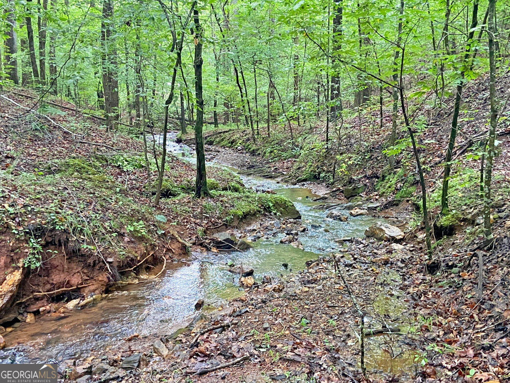 40.7ac Falling Pines Road Property Photo 12