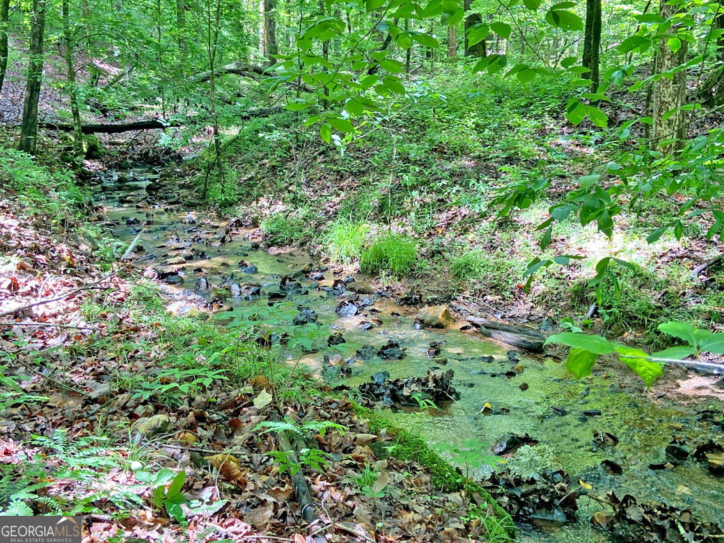 40.7ac Falling Pines Road Property Photo 13