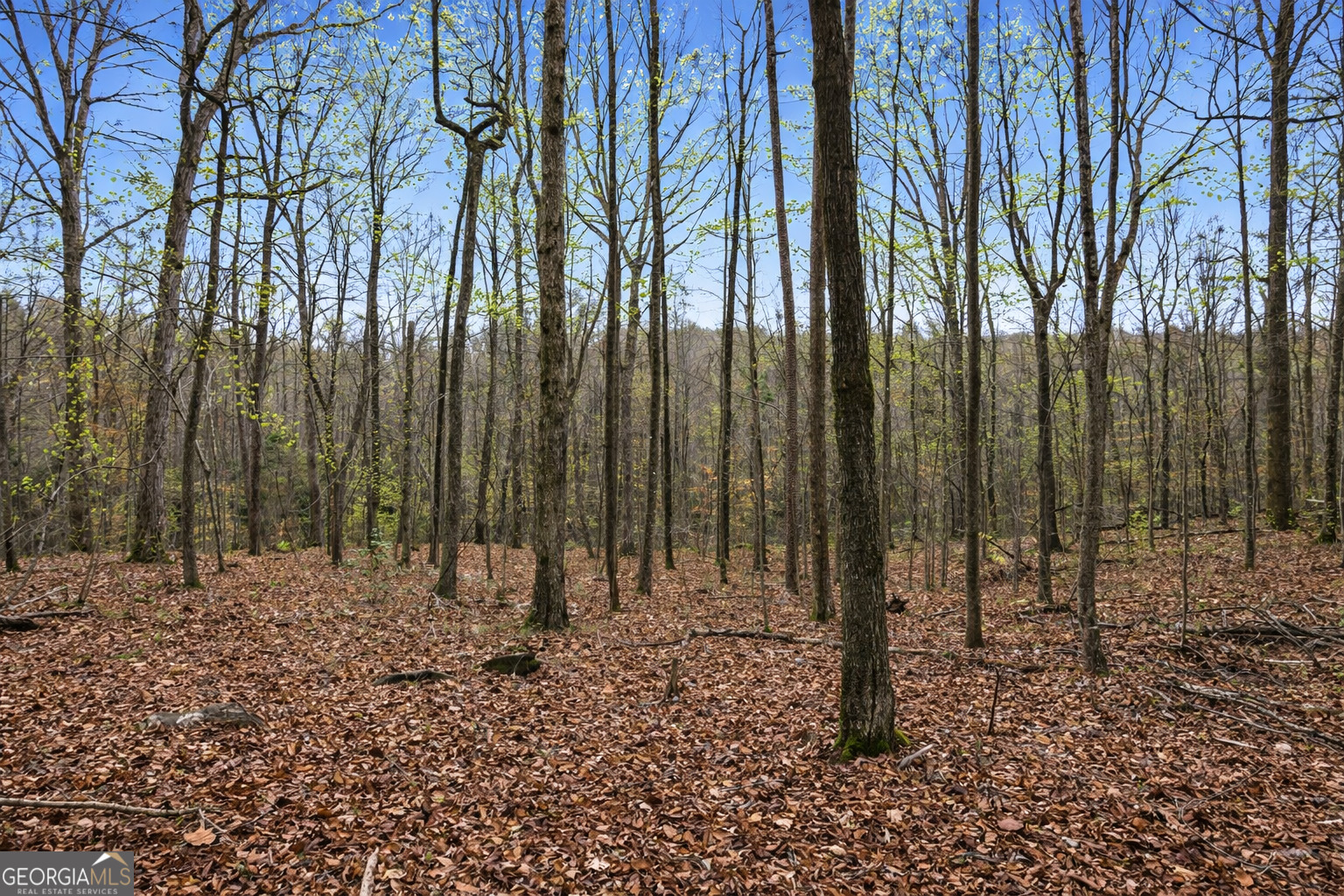 2300 Stonepile Road Property Photo 12