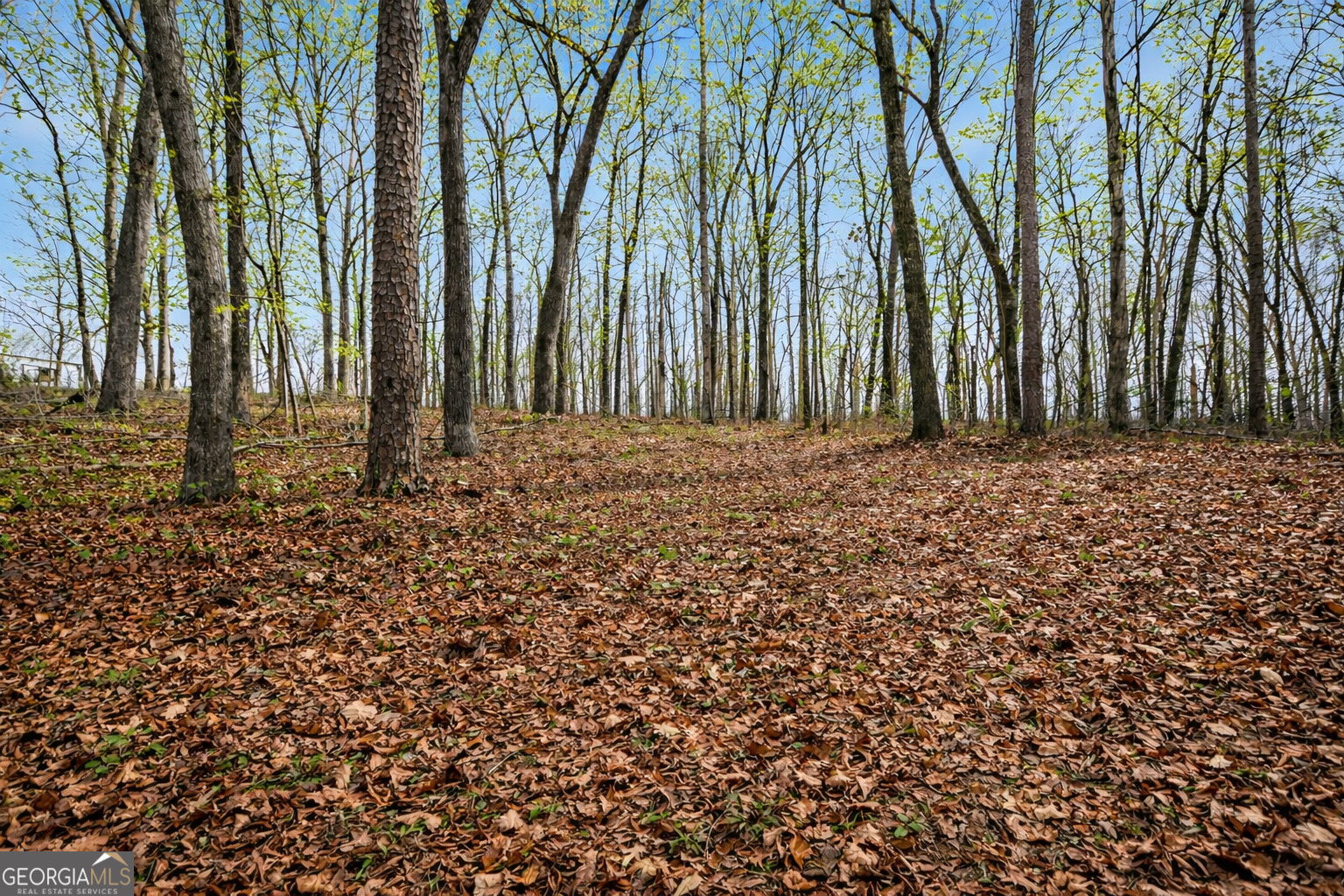 2300 Stonepile Road Property Photo 14