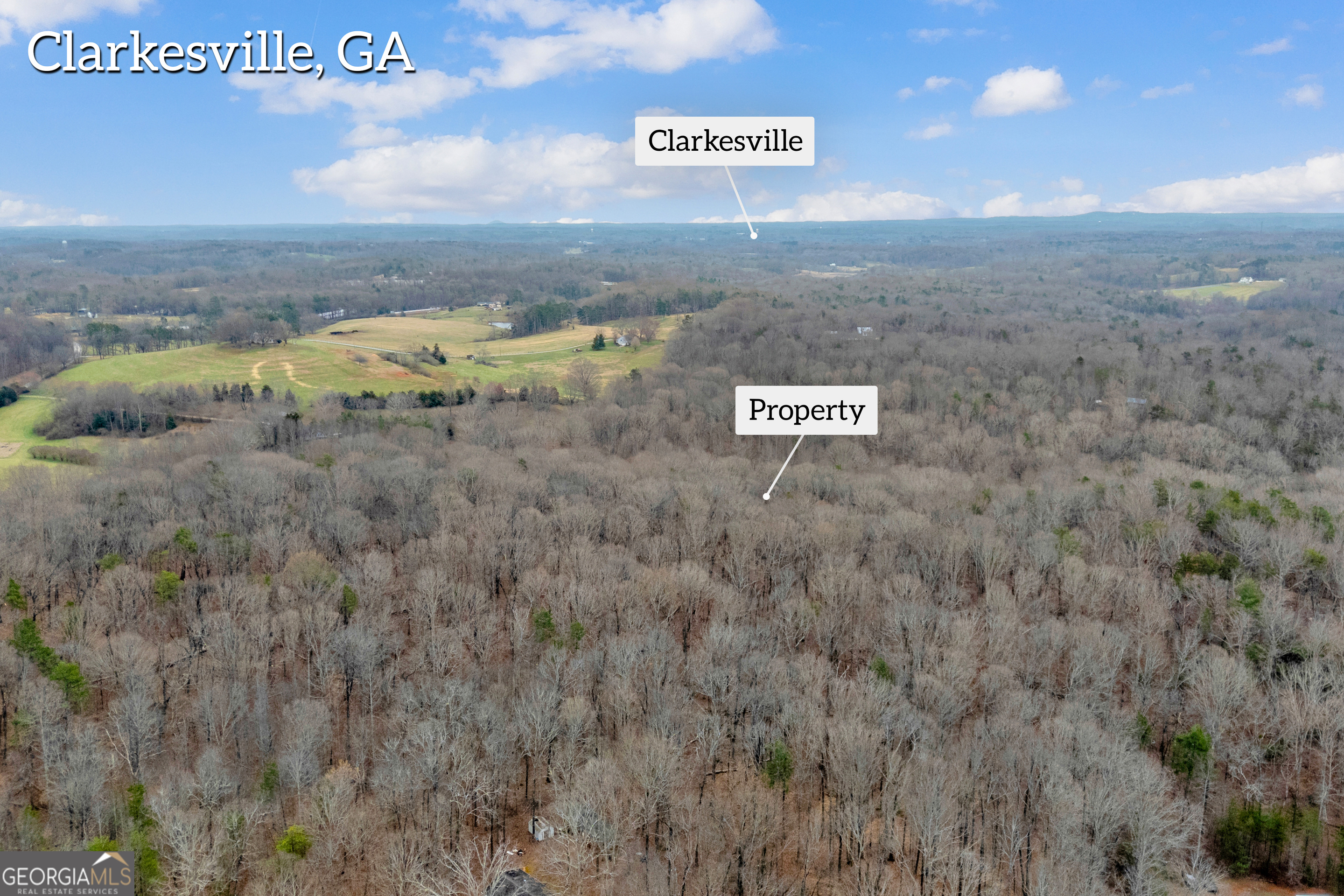 2300 Stonepile Road Property Photo 24