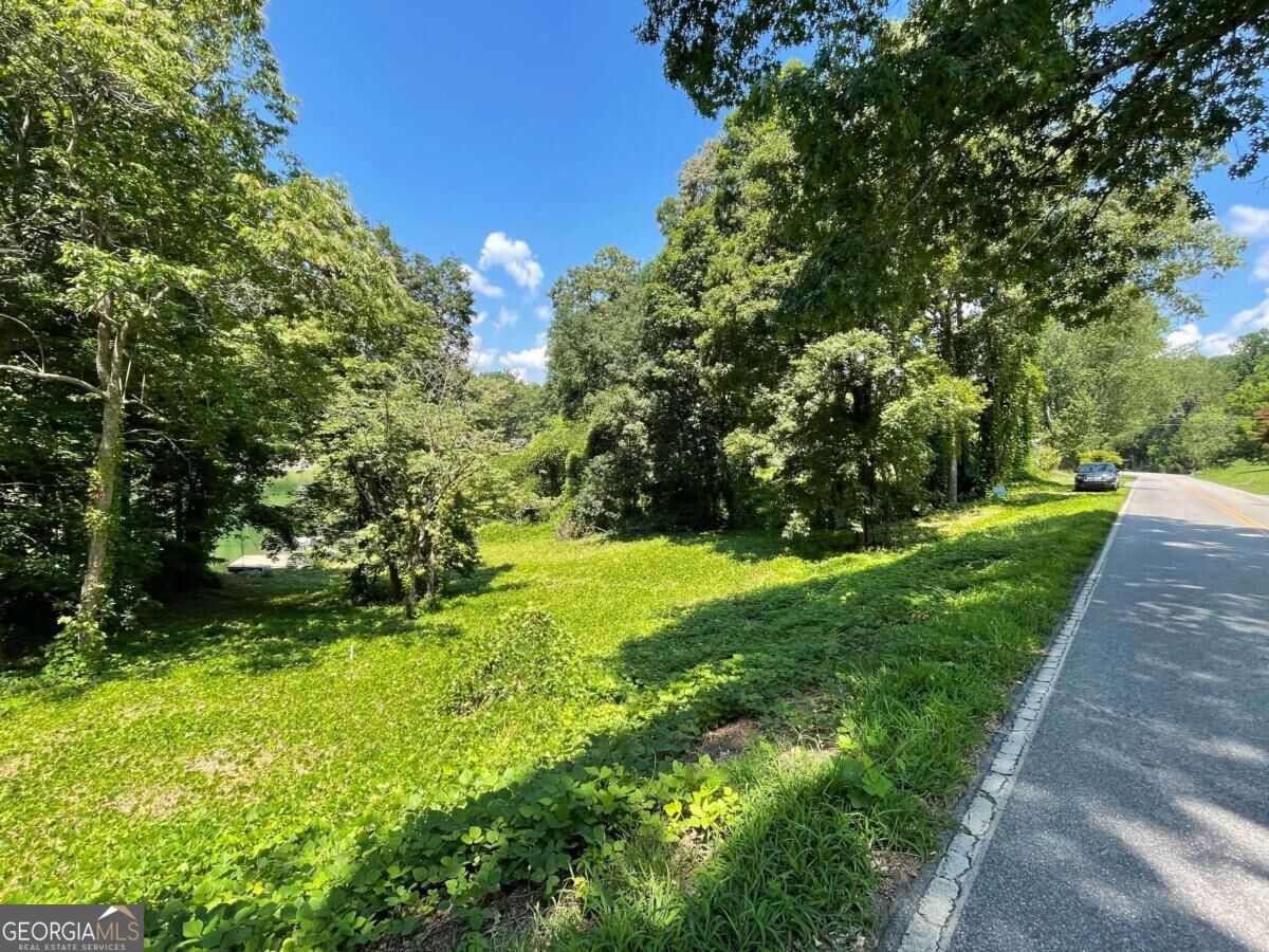 Lot 5 Old Hwy 64 E Property Photo 1