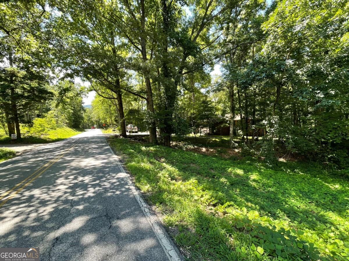 Lot 5 Old Hwy 64 E Property Photo 2