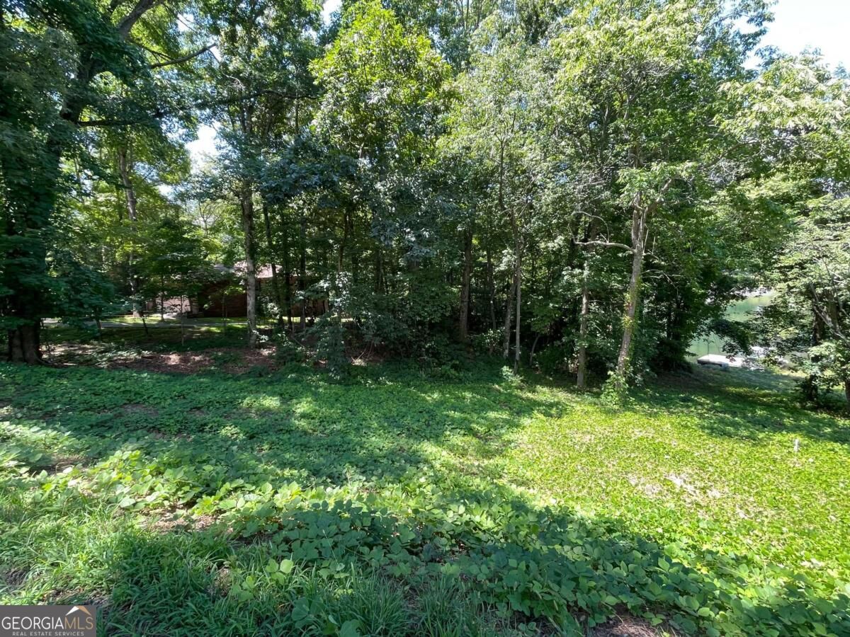 Lot 5 Old Hwy 64 E Property Photo 6