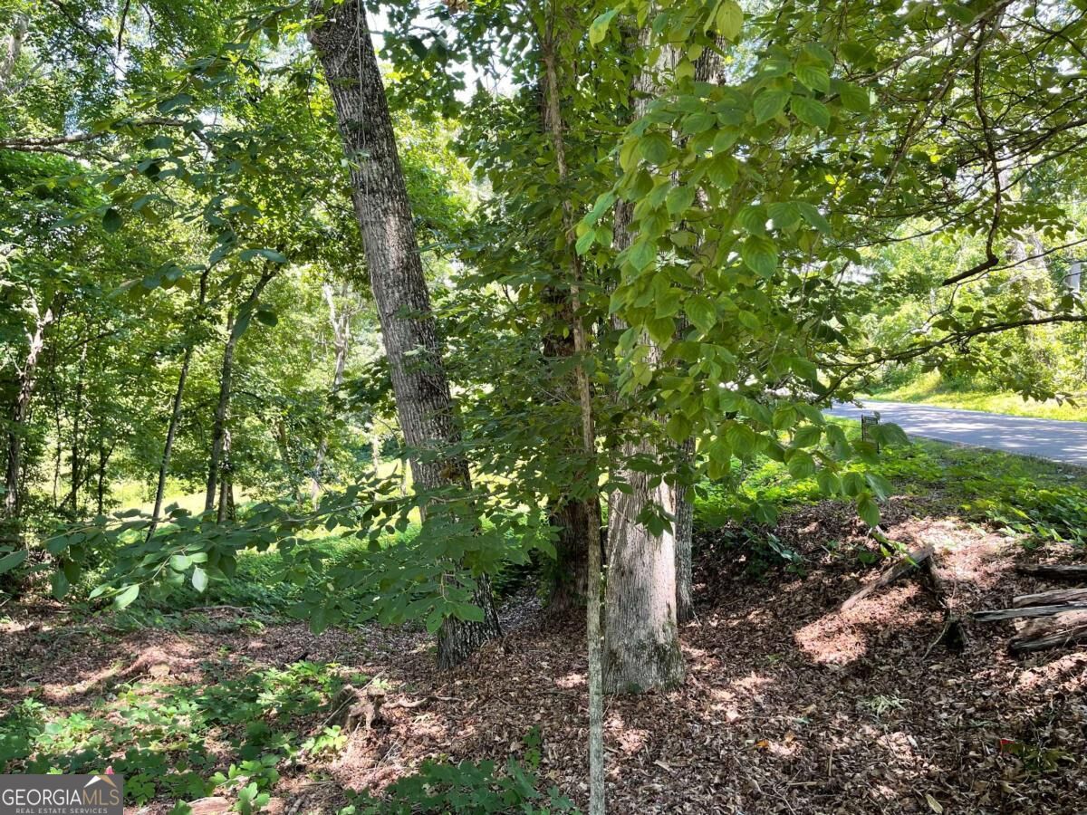 Lot 5 Old Hwy 64 E Property Photo 7