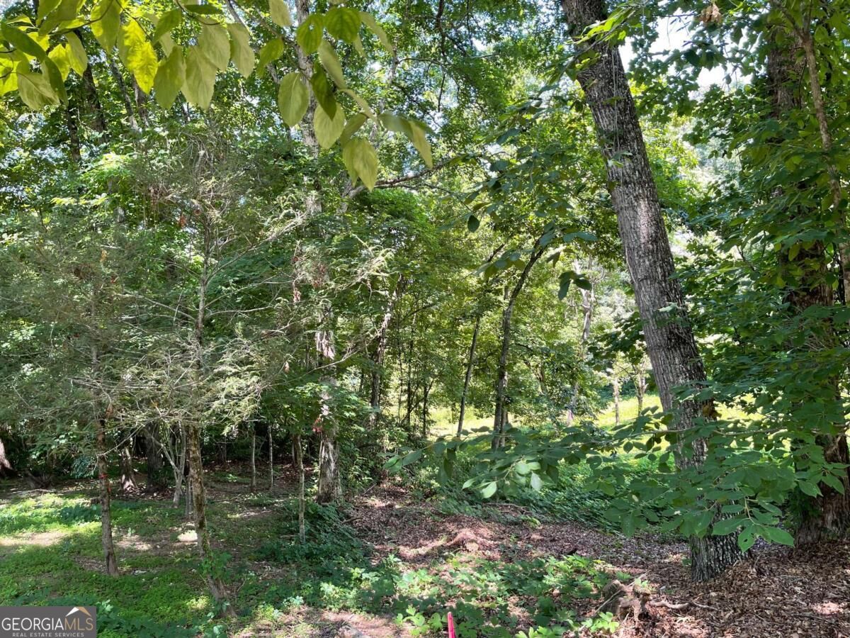 Lot 5 Old Hwy 64 E Property Photo 8